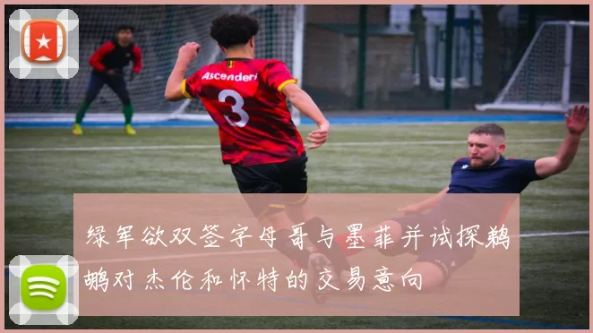 绿军欲双签字母哥与墨菲并试探鹈鹕对杰伦和怀特的交易意向